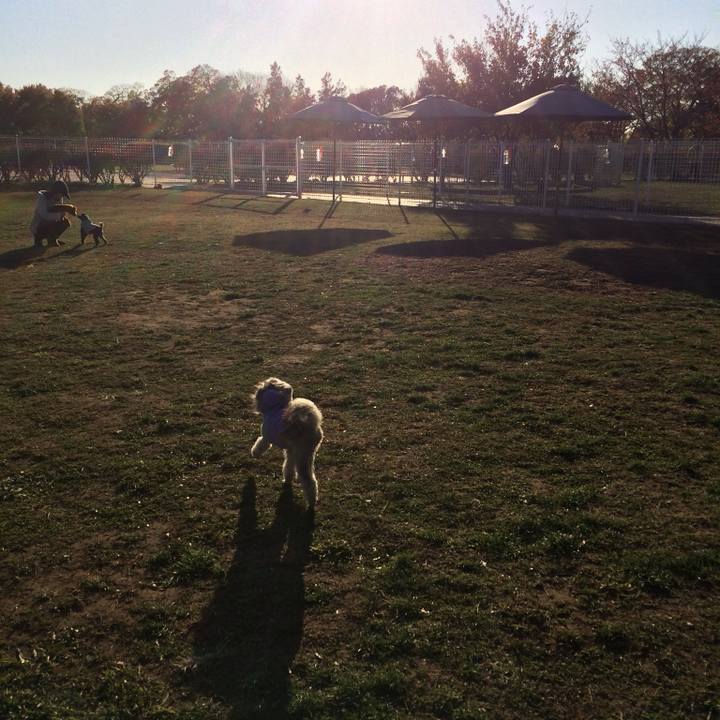 732746fb 5188 4942 baed 93f3ee44f8fb 1764030892552