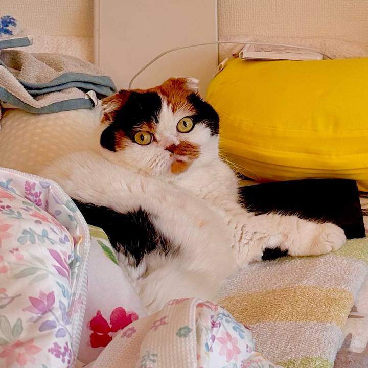 732761a8 91ff 4cd1 bb78 91992cbda499 1702938795861