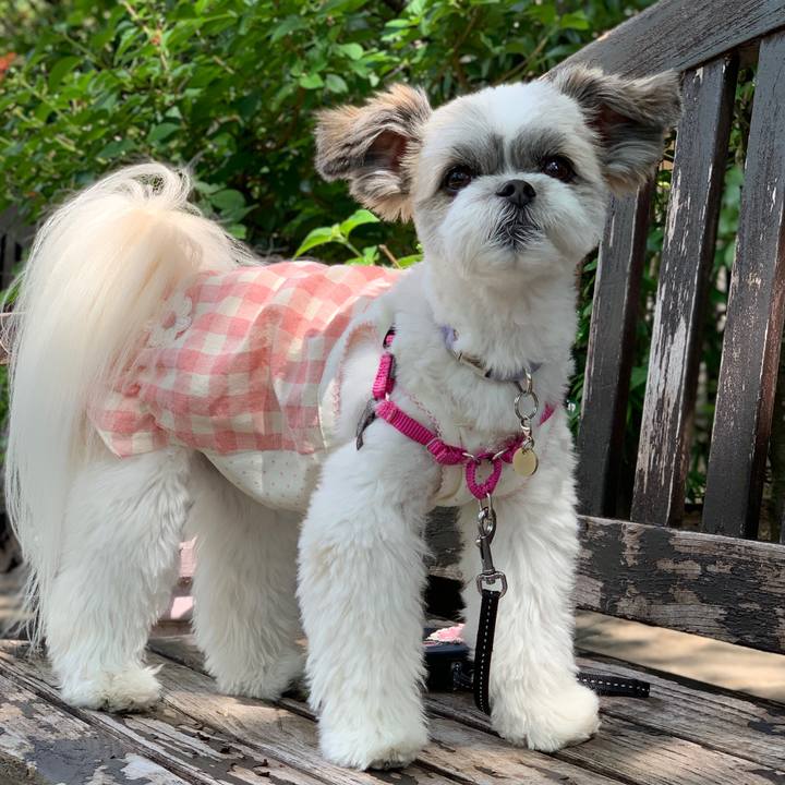 73276532 db08 4830 b352 ec1173dbcb81 1560851609431