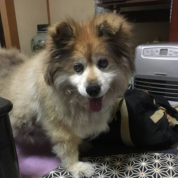 732770cb d0f0 4dc6 95c9 a345330f499d 1591040239045