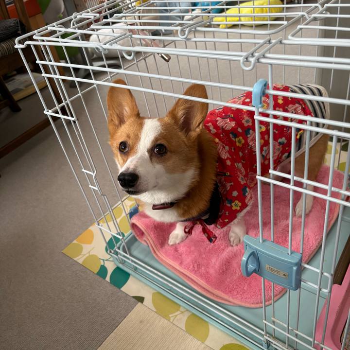 73278bcb 7897 4b6e bcb2 be22497df056 1770526867420