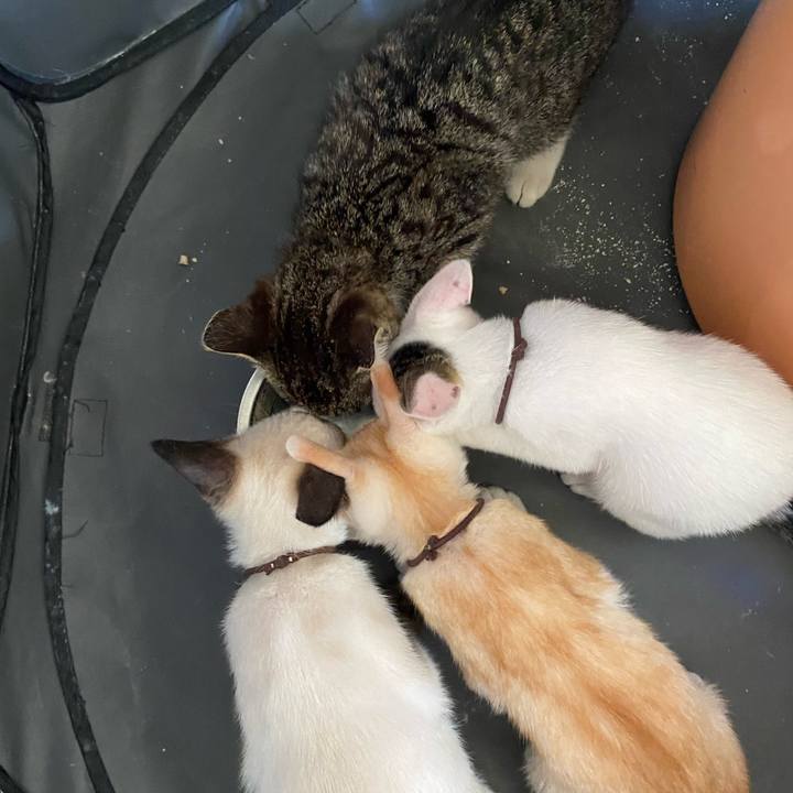 73278f54 6937 42ea 9fce bcd9c241a79d 1689474284998