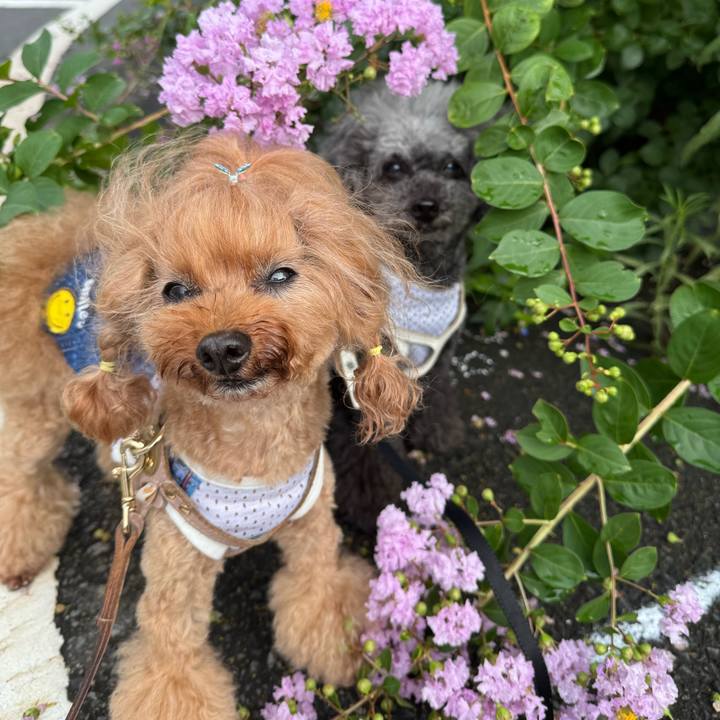 7327c725 884d 481b a4ae 4dcf0ce60890 1752449599260