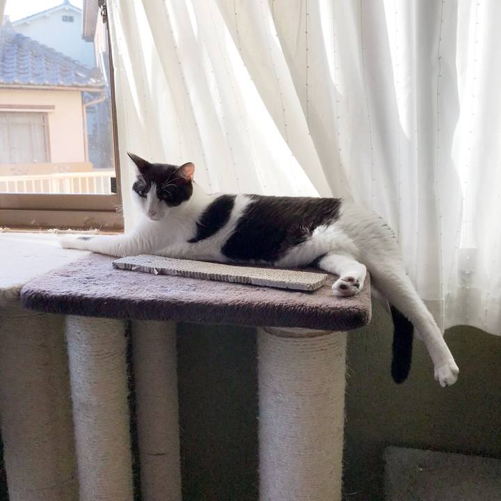 73281884 353f 465d 9f3c 8444d131ab54 1535899753510