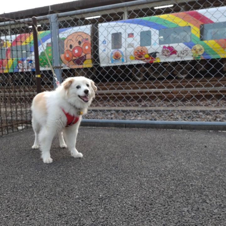 73281ed3 77c0 4b32 b898 246756dadedb 1652521415047