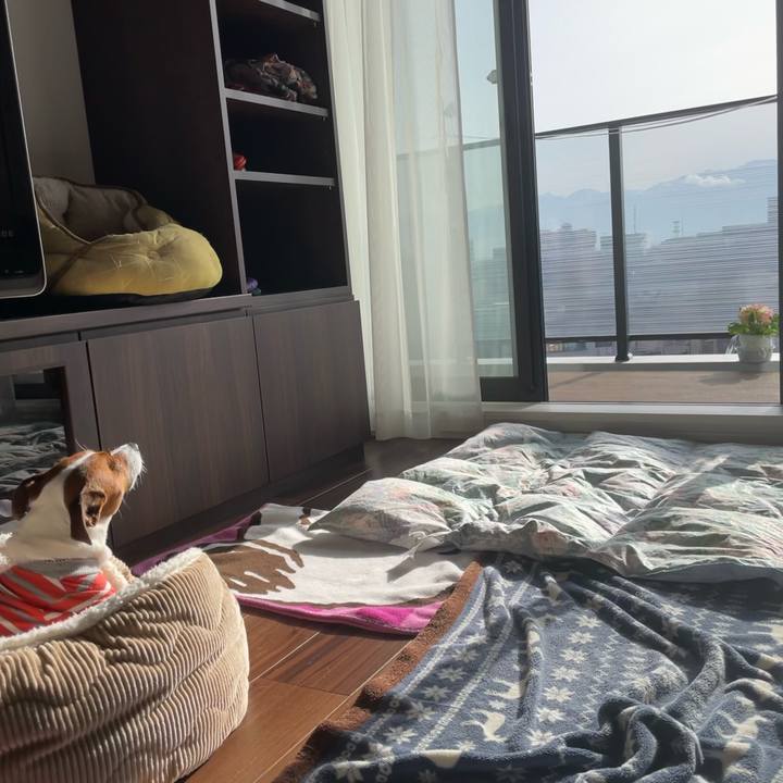 73282232 4eb5 4813 8a38 5e12c4d20b9c 1647817772322