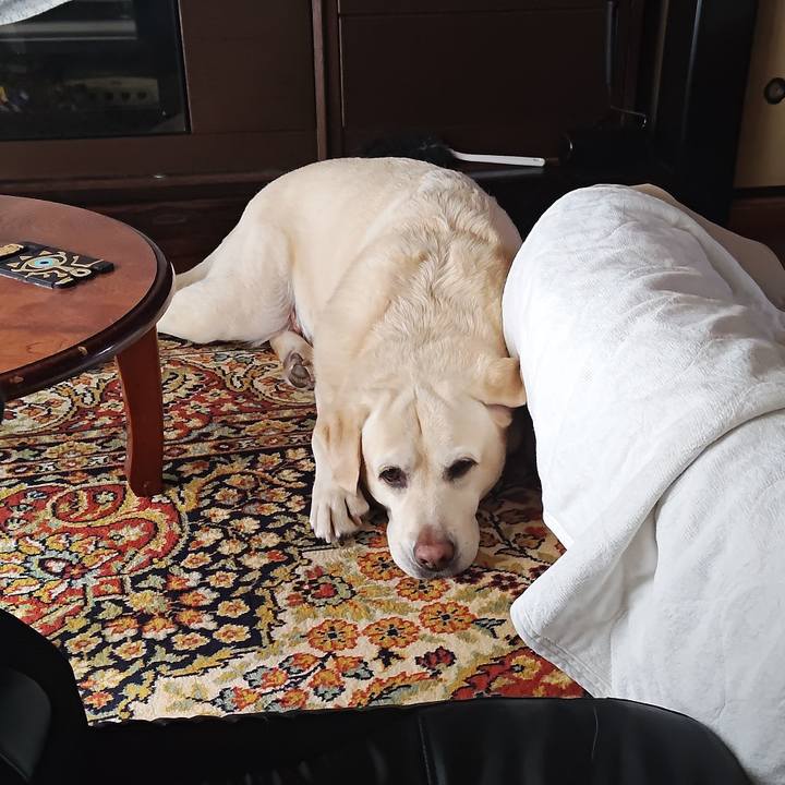 732856ee 9897 4ed0 8f72 9a092dada035 1729817674587