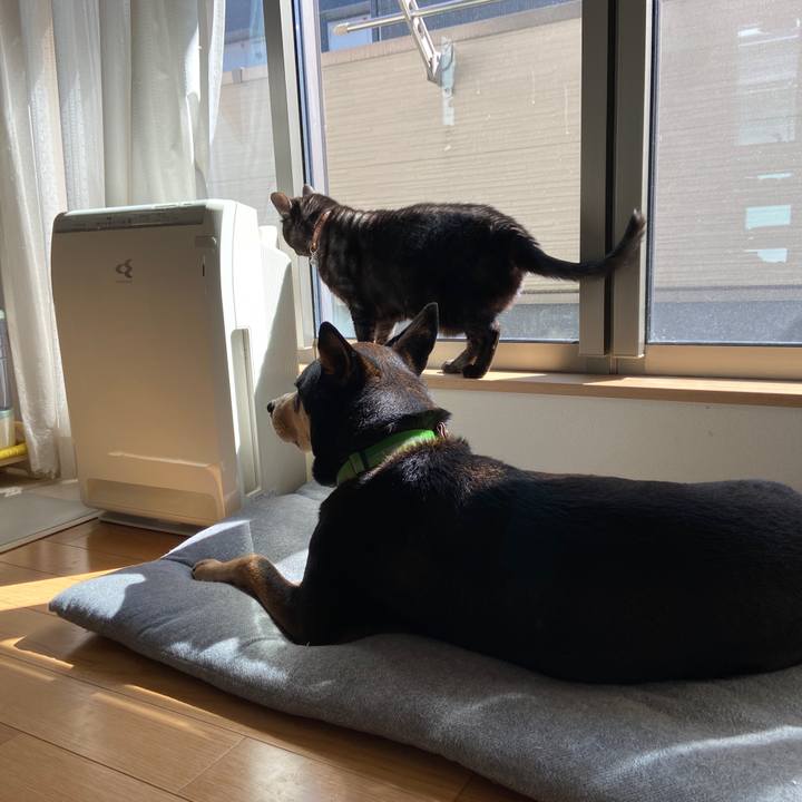 7328582c 648c 4e85 9ebb 611f3e543bdb 1646023662658