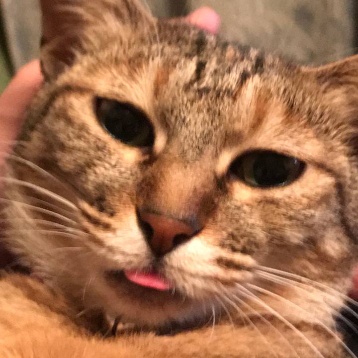 73287309 4305 4769 b411 6538431fbd5e 1585397062092