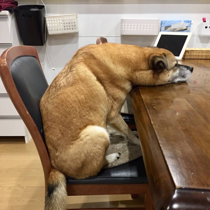 7328899c cfde 40b4 a9cc 0b91e26d4962 1517479620730