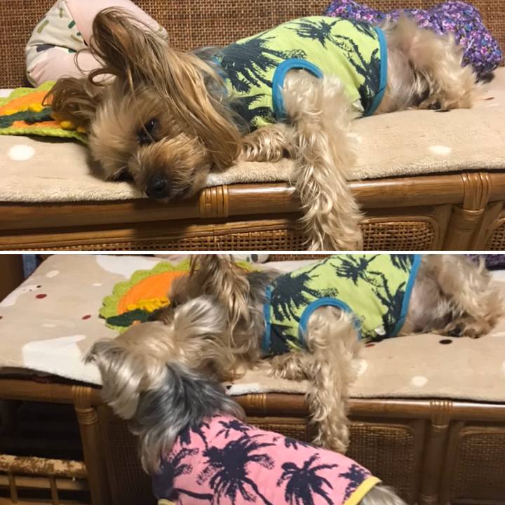 7328af5e 7665 45e7 9a61 58e45549c42f 1583744719071