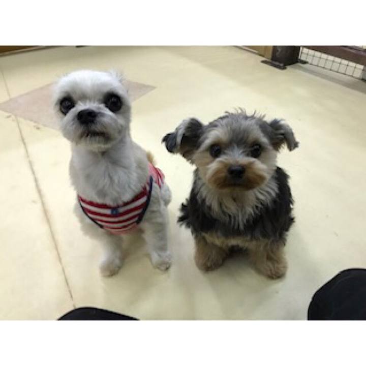 7328afa6 880a 4f97 b7f6 d4abd5927db6 1545221768836