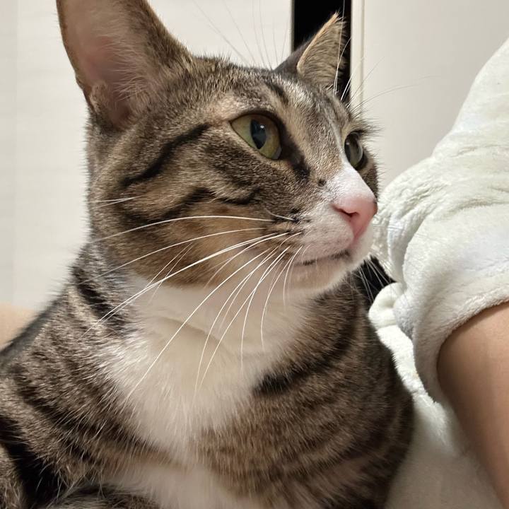 7328b159 ebc2 46e5 8d77 f6f3abcf8b92 1764683940012