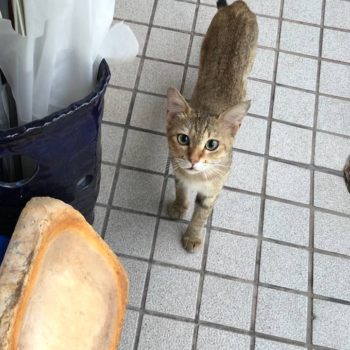 7328b564 d8a0 4bde bade 2fd6c14585d1 1592288443235