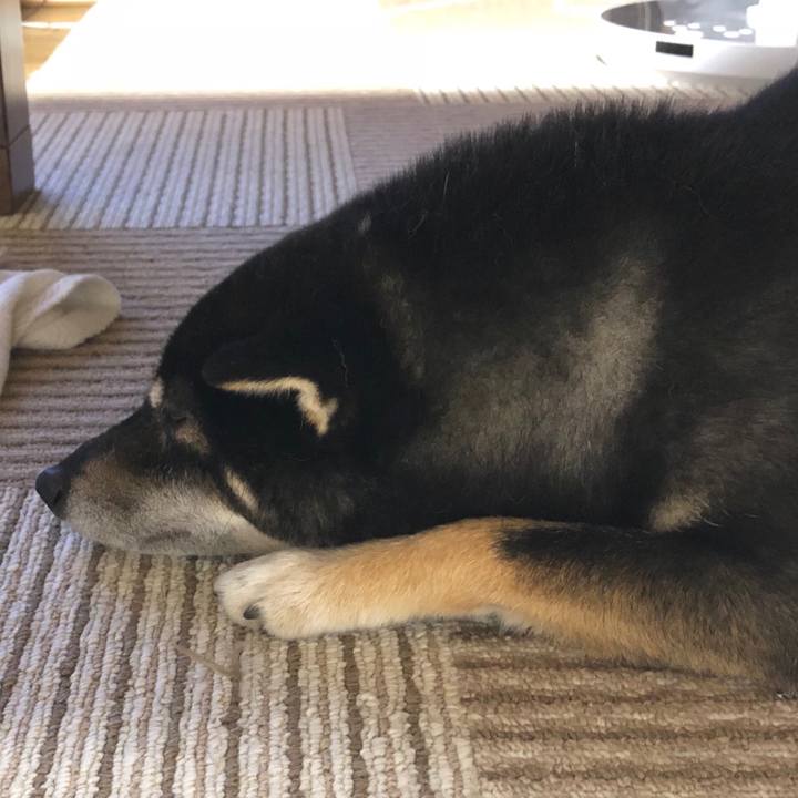 7328e378 8083 4145 830a b3f018517dfe 1527200050716