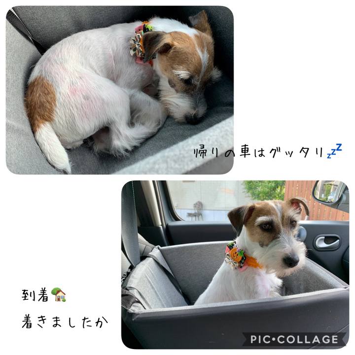 7328ecb9 465c 404e a6d4 24ae51cfcac3 1601887546229