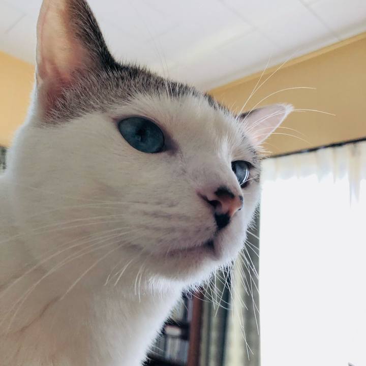 7328f3a9 c57d 43cc a0f6 77ff3235831d 1632804807551