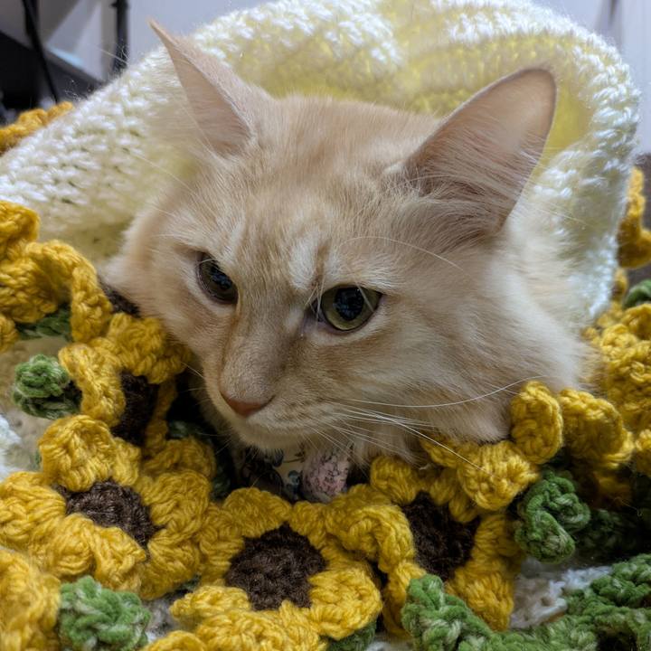 7328fdf7 0efc 40ea 9a81 0b12869eac9f 1764853023620