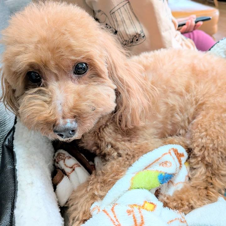 73298db5 1dd1 4bfe a868 ce0ef62ab106 1767135542831