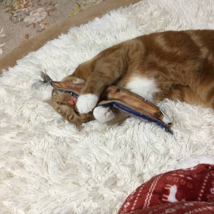 73299e03 8c73 4f66 91e7 04810c53bacf 1515414183505