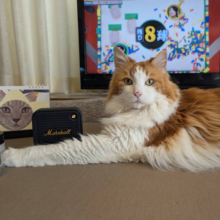 7329b207 0c70 4b02 a643 6191b0c3c165 1750571647756