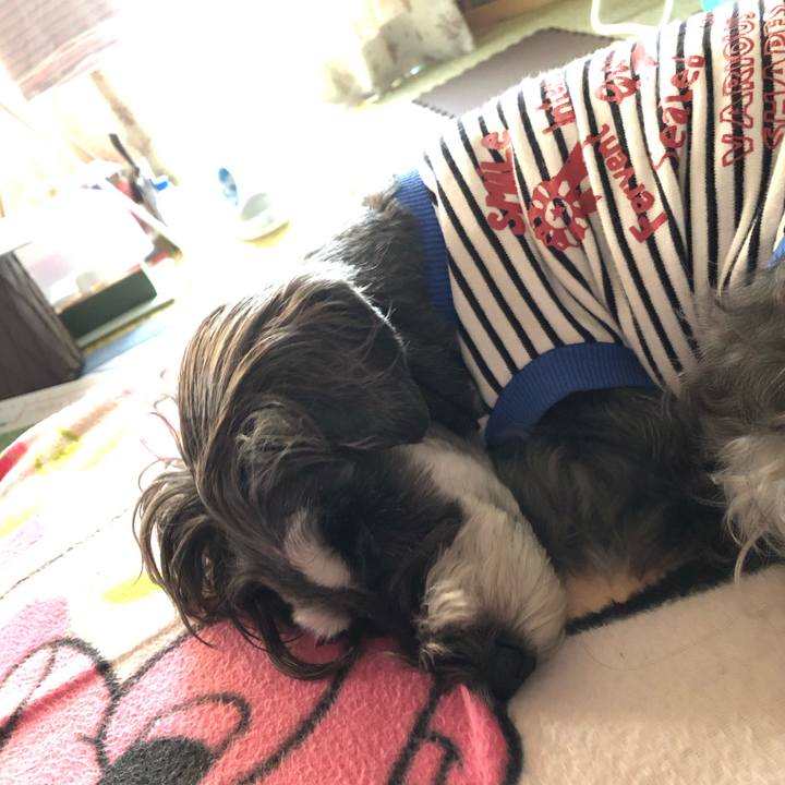 7329bec7 d3e6 48d5 b1b2 94e68dbfff9e 1697353600294