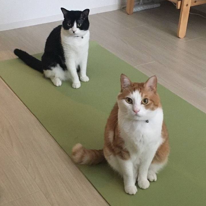 732a275d 4dc4 4b0d b9a8 0469b6dc006b 1588293684525