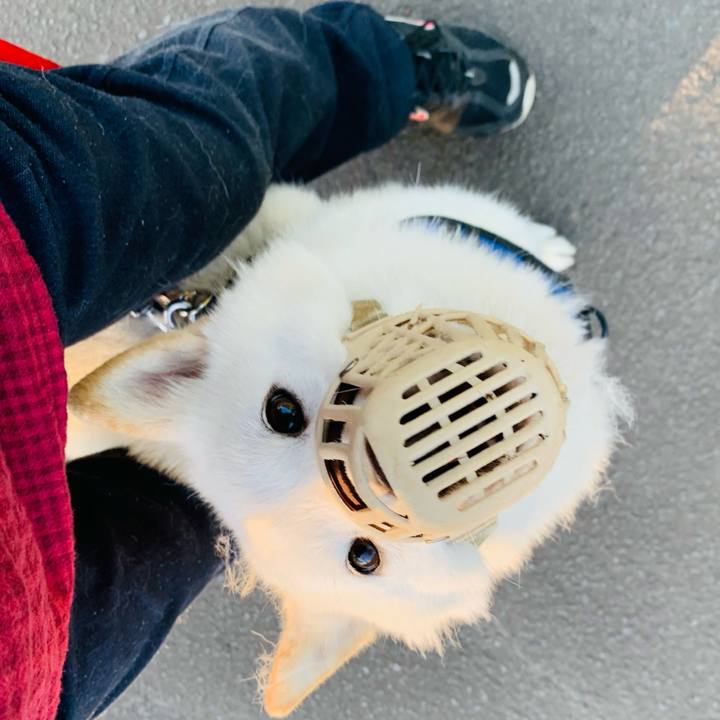 732a7636 9b03 4cbe b3d8 0871dc5fc869 1623534894992