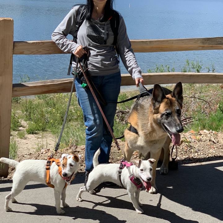 732a98a6 9006 4fee b25e 4fbabce44616 1560193112654