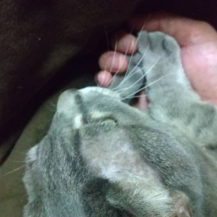 732aae81 3191 45a7 9f98 58c71649d470 1641818473915