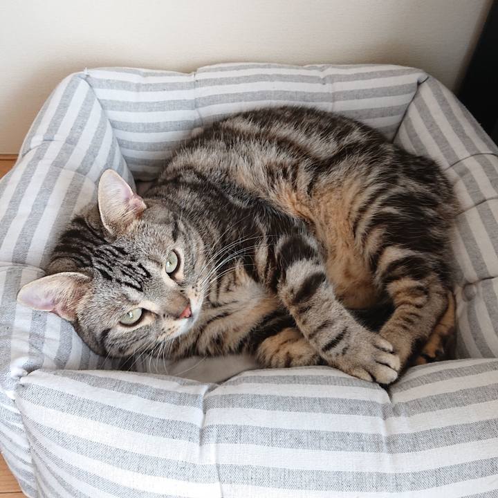 732adfe3 1a80 478a 839a 793bce556dcb 1562893030654