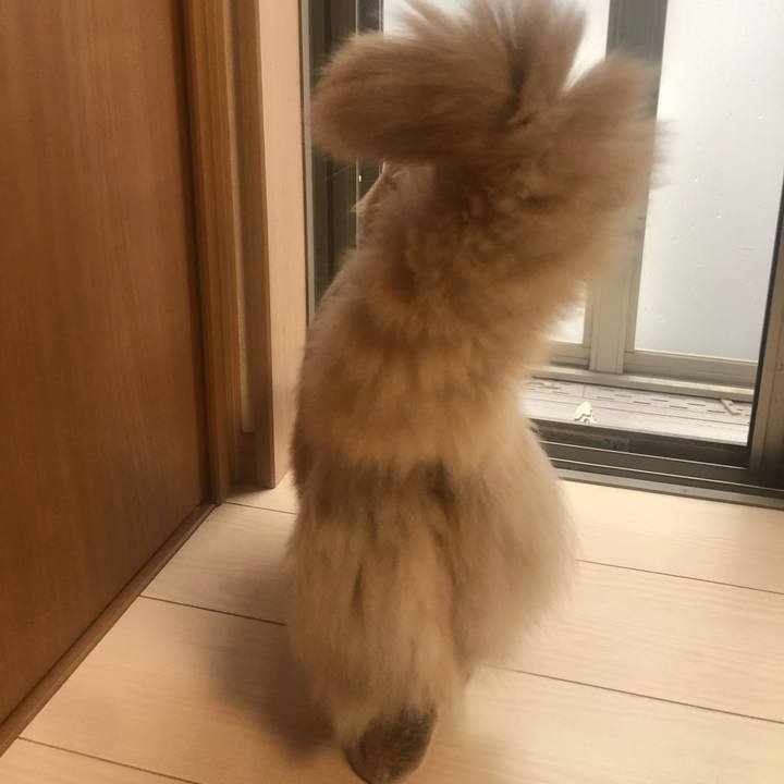 732b038b a43f 4200 b653 18111b6a567e 1686368617737