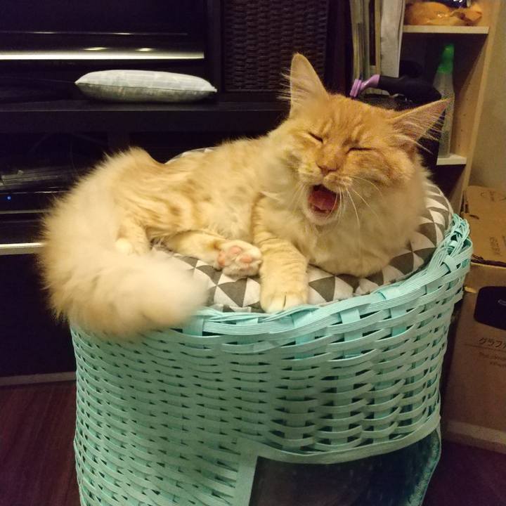 732b3472 75dd 476d bf2e c61c233944fb 1620946220116