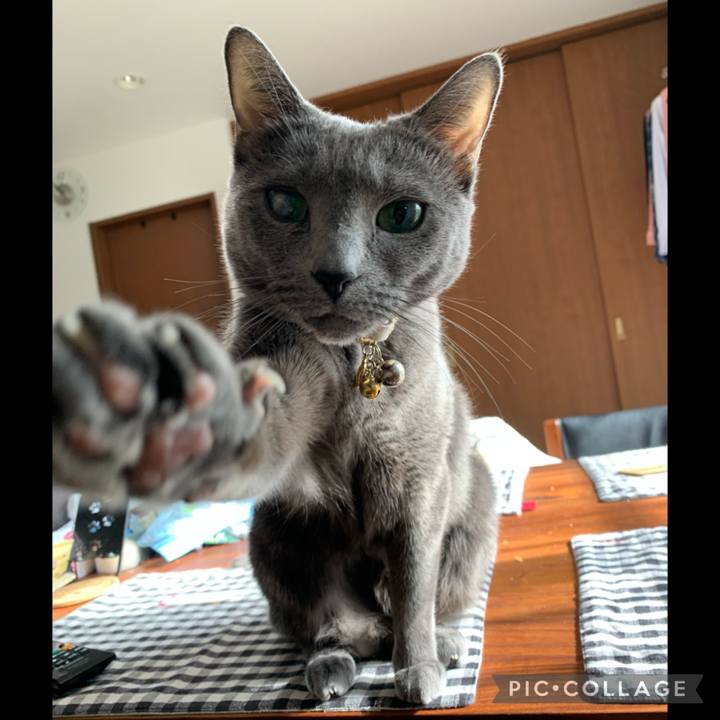 732b3fd8 3ff4 40d7 afc1 80ac3b1d0ab5 1674352767236