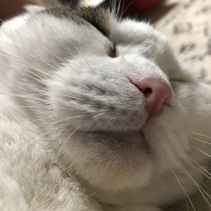 732b6d26 7c5a 409d 8c7e a5e44bd934dd 1598253936586