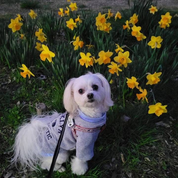 732ba635 e3d5 4a16 9a39 c855b26216be 1649229836342