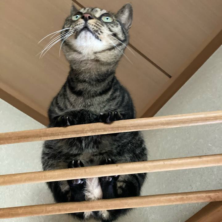 732ba66e ae3b 4b35 90a4 6f83bb41ac58 1617853236154