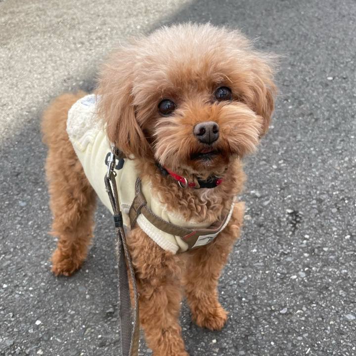 732c1642 655e 4ecf 8513 9301421ae23d 1671334224898