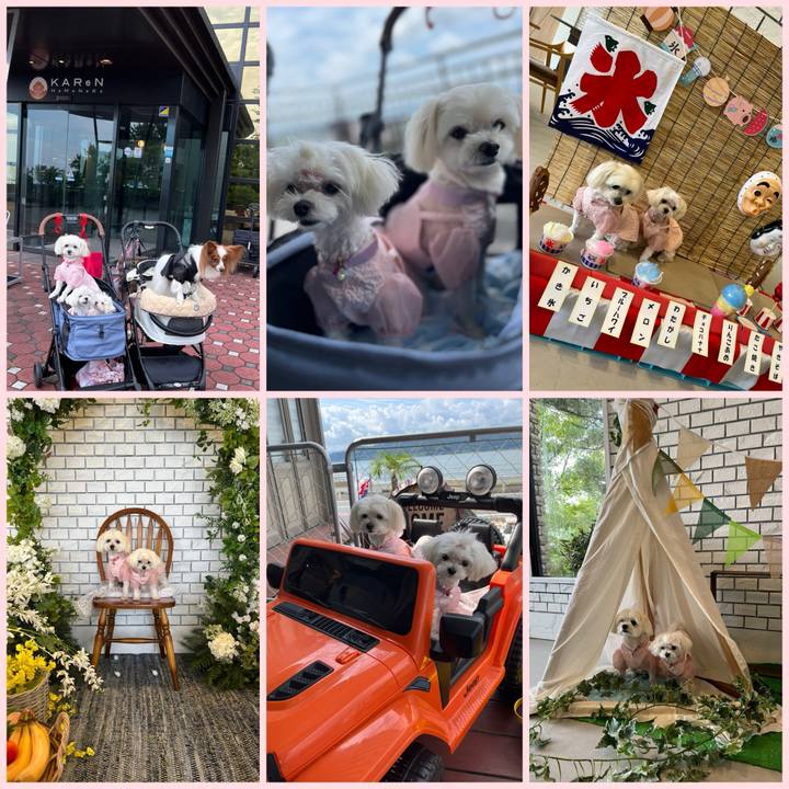 732c5fe5 14ae 4ad1 ac00 be754e42512b 1724331151190