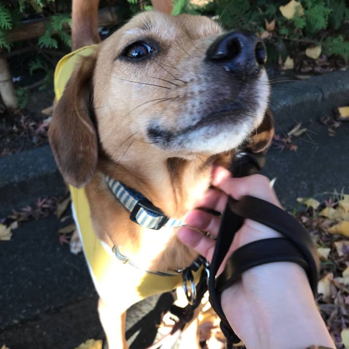 732cce8f 2bbe 4bbf 8abe 0ab7c579c76d 1545207812196