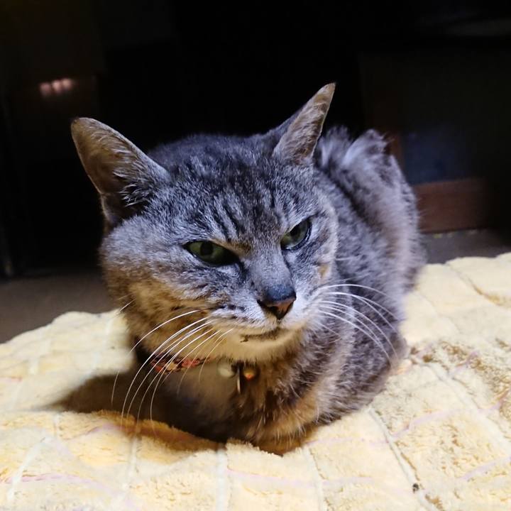 732d0f70 dc72 48b8 aaeb ee672f7e0ced 1594294423480