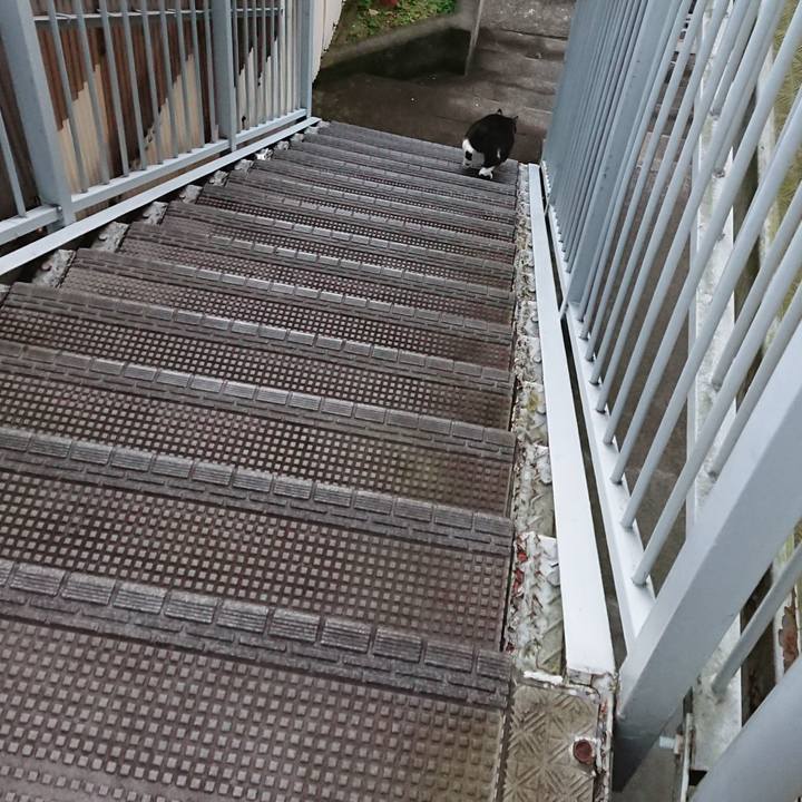 732db4d6 343c 4c65 8479 003ab1a73c24 1576640336083