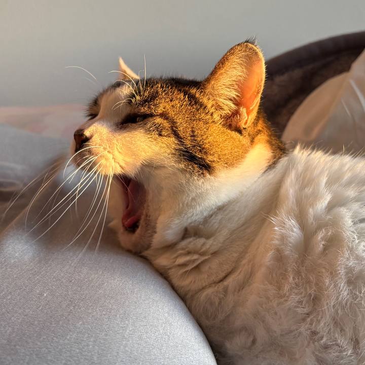 732dc800 1c63 4984 9a2f f49d9c6fa3bf 1765352954166