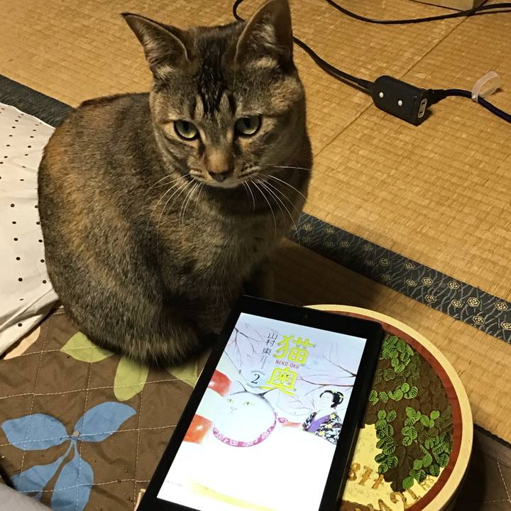 732de93d 5baa 4192 ad05 ae430a5b4bc1 1616493740998