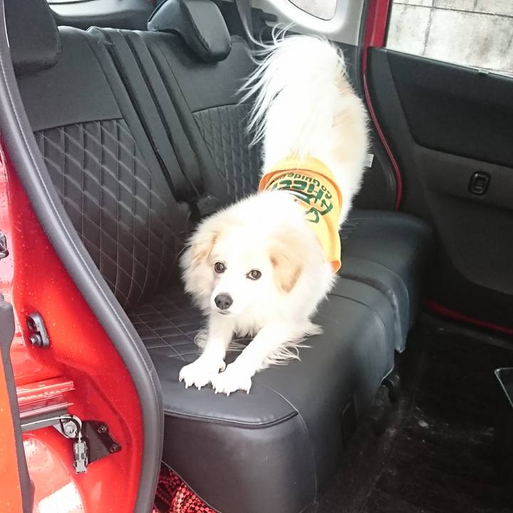 732dfba7 e3e6 4ff8 9f39 d544bbe96203 1509507372706