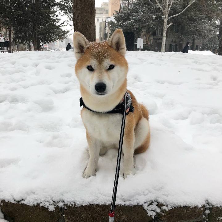 732e138a 2112 44be a089 7c32de79a69d 1580266319205