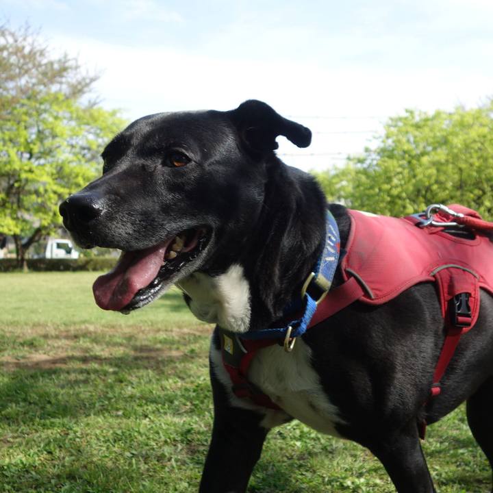 732e1814 ec69 4f68 a17e 459705a6e081 1681260452346