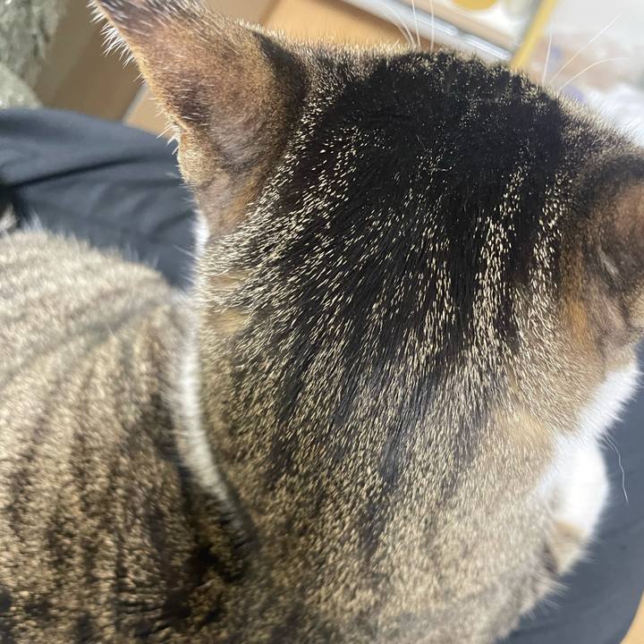 732e3066 5b68 4ef4 812a f385af9f38ac 1773219138373