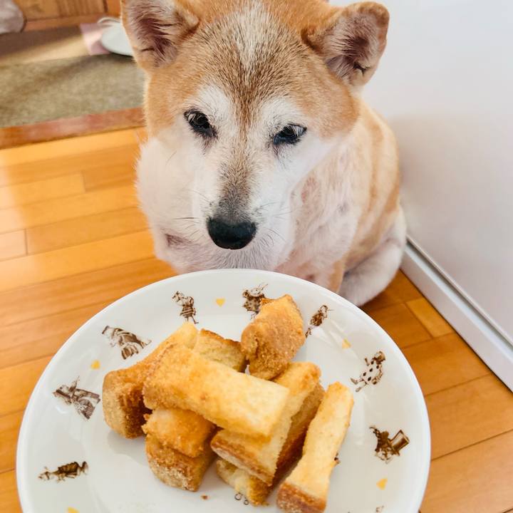 732e3ad4 f6a1 437e addb 99d6c4578d97 1758072040072