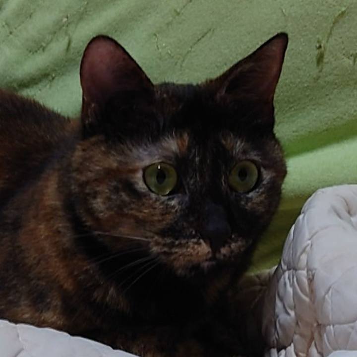 732e5096 40cf 4cd6 9862 f869e53a42ce 1699181069329